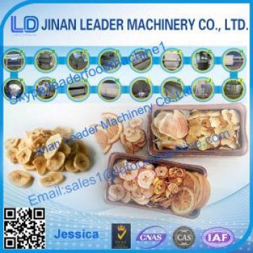Apple Chips processing machinery